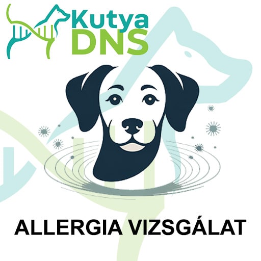 Környezeti és élelmiszer allergének - PAX technológia