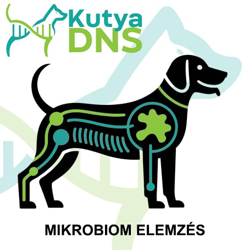 Mikrobiom teszt